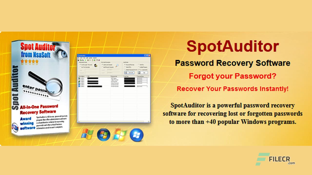 Nsasoft SpotAuditor 5.3.7.0