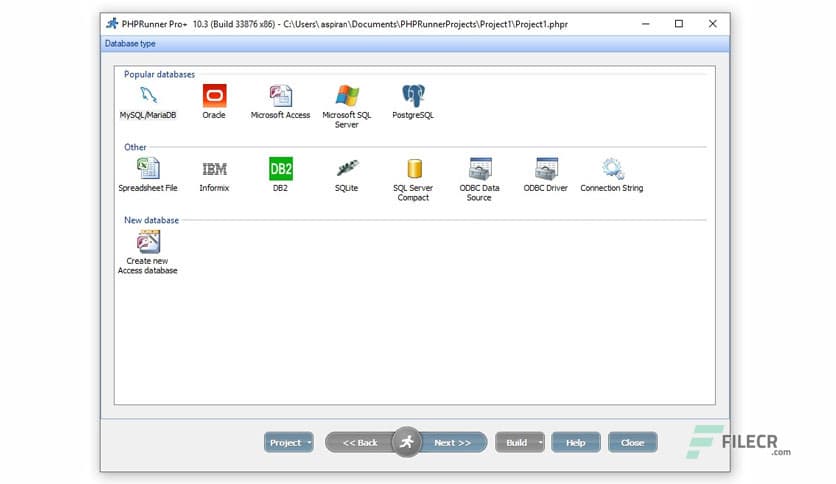 PHPRunner Professional 10.3 Build 33876 + Manual