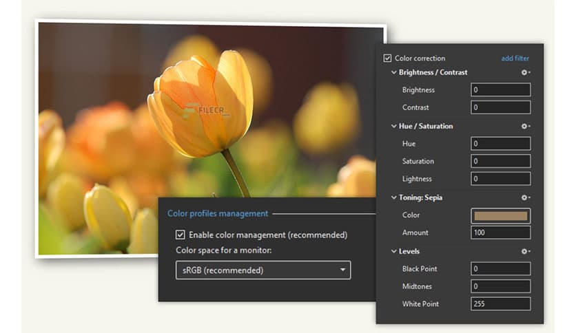 WnSoft PTE AV Studio Pro 11.0.20.1