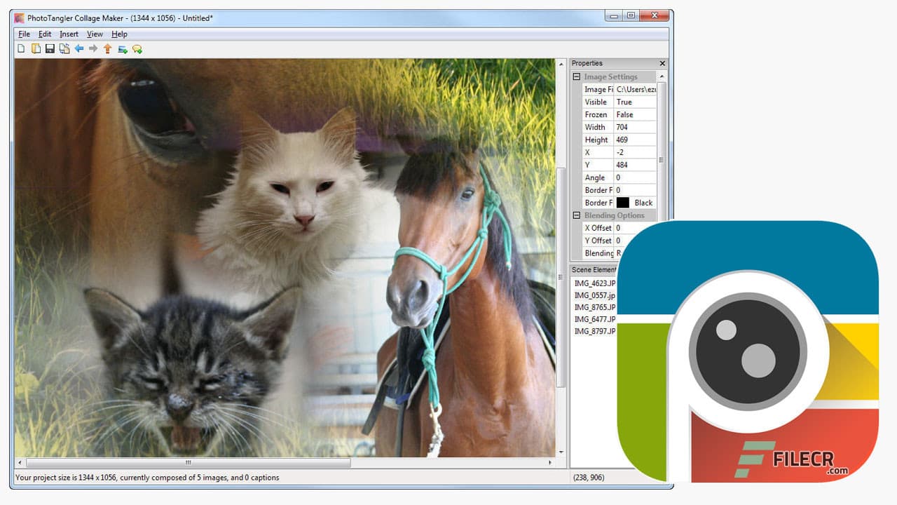 PhotoTangler Collage Maker 2.4.0