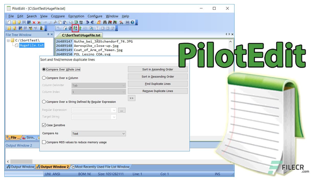 PilotEdit Pro 20.6.0