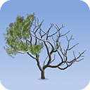 Pixarra TwistedBrush Tree Studio 5.05