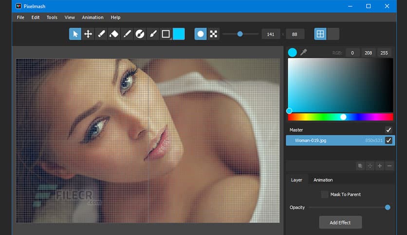 Nevercenter Pixelmash 2026.0