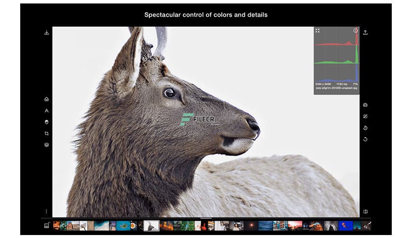 Polarr Photo Editor Pro 5.11.11