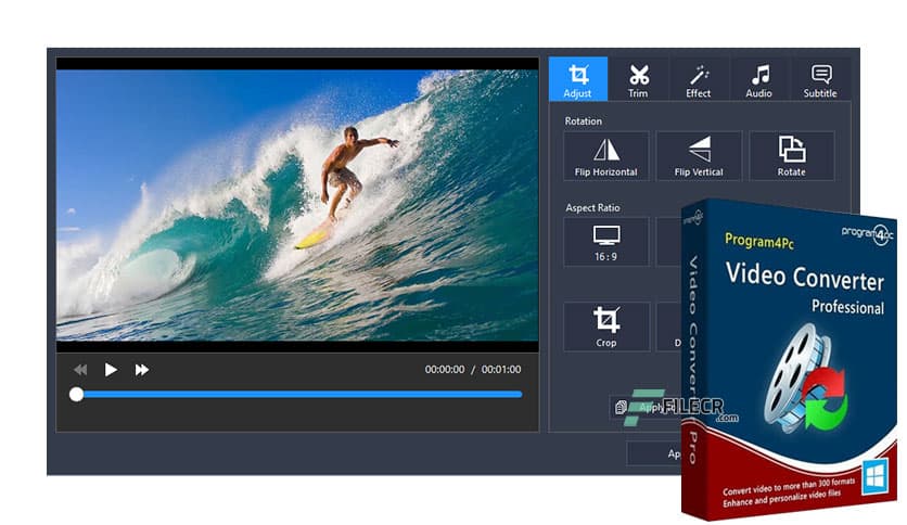 Program4Pc Video Converter Pro 11.4