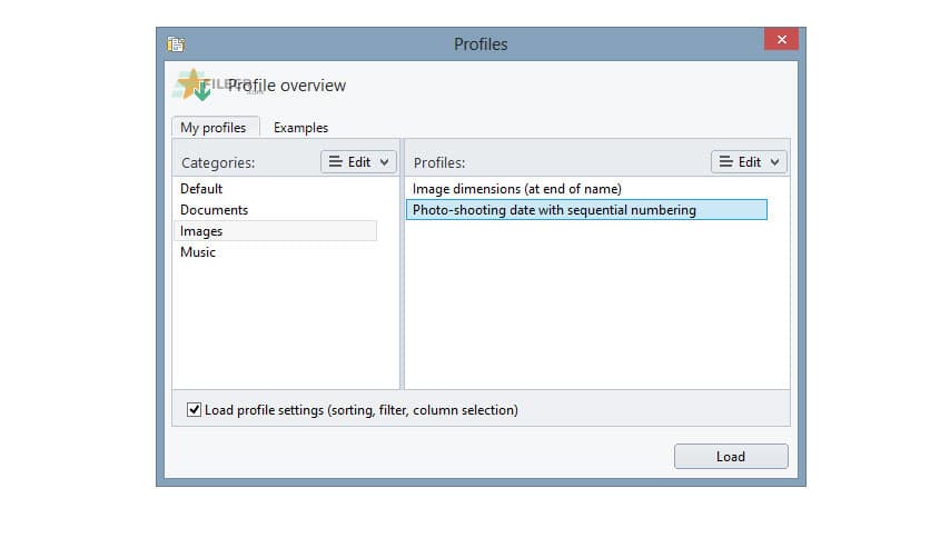 Gillmeister Rename Expert 5.31.8