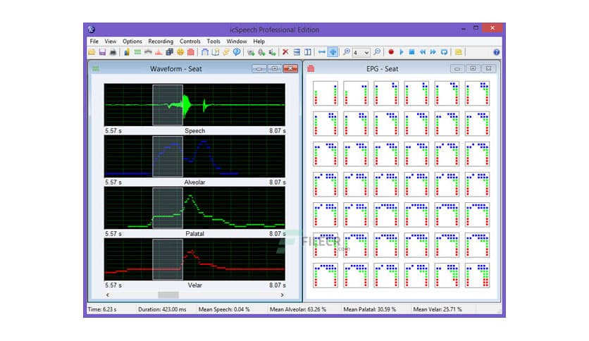 RoseMedical icSpeech Professional 3.3.1
