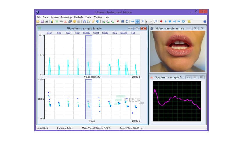 RoseMedical icSpeech Professional 3.3.1