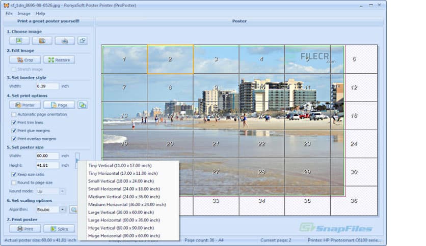 RonyaSoft Poster Printer 3.2.21