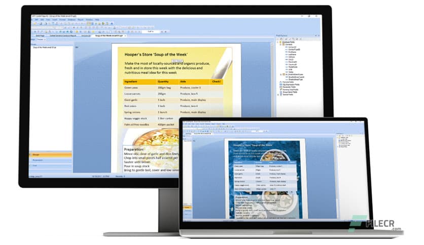 SAP Crystal Reports 2016 SP09
