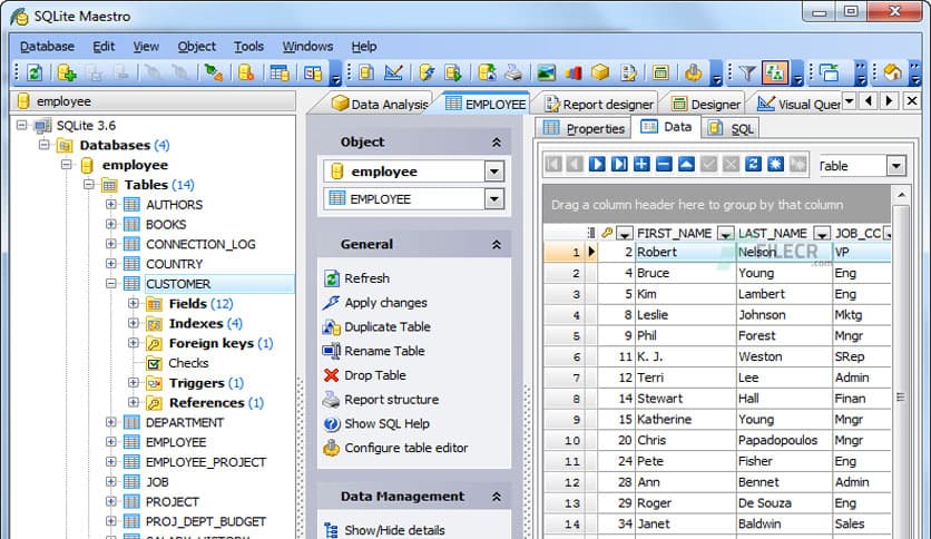SQLite Maestro Professional 21.5.0.5
