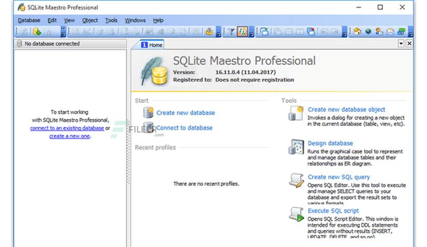 SQLite Maestro Professional 21.5.0.5