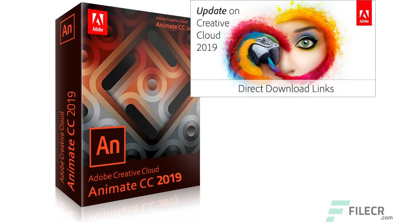 Adobe Animate 2024 v24.0.2