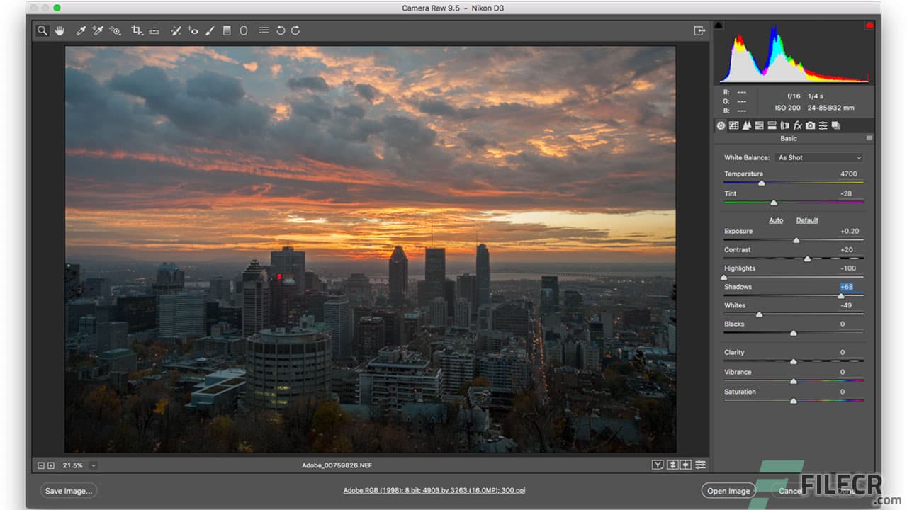 Adobe Camera Raw CC 18.1.1