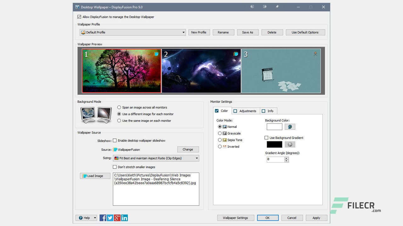 DisplayFusion Pro 12.0.1