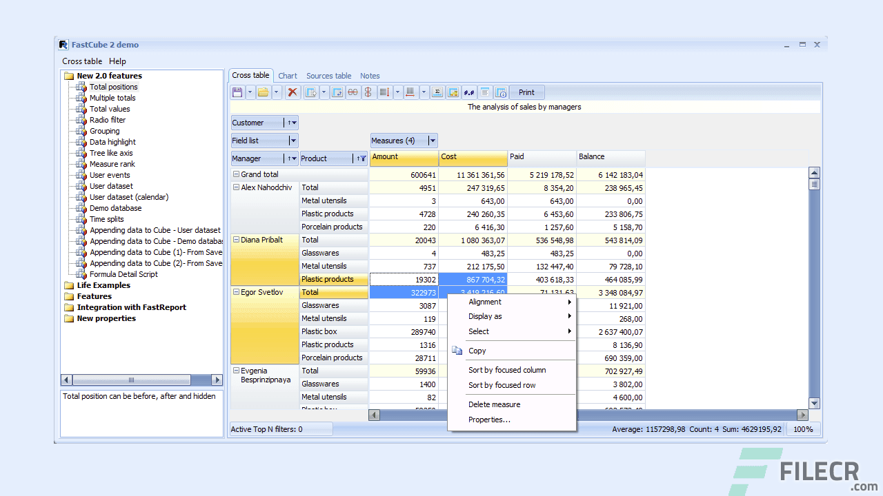 FastReport FMX 2.6.21