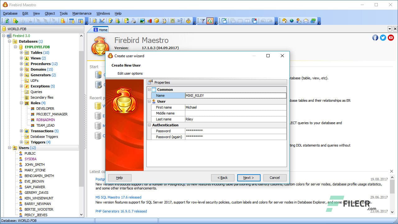 SQL Firebird Maestro 24.2.0.3