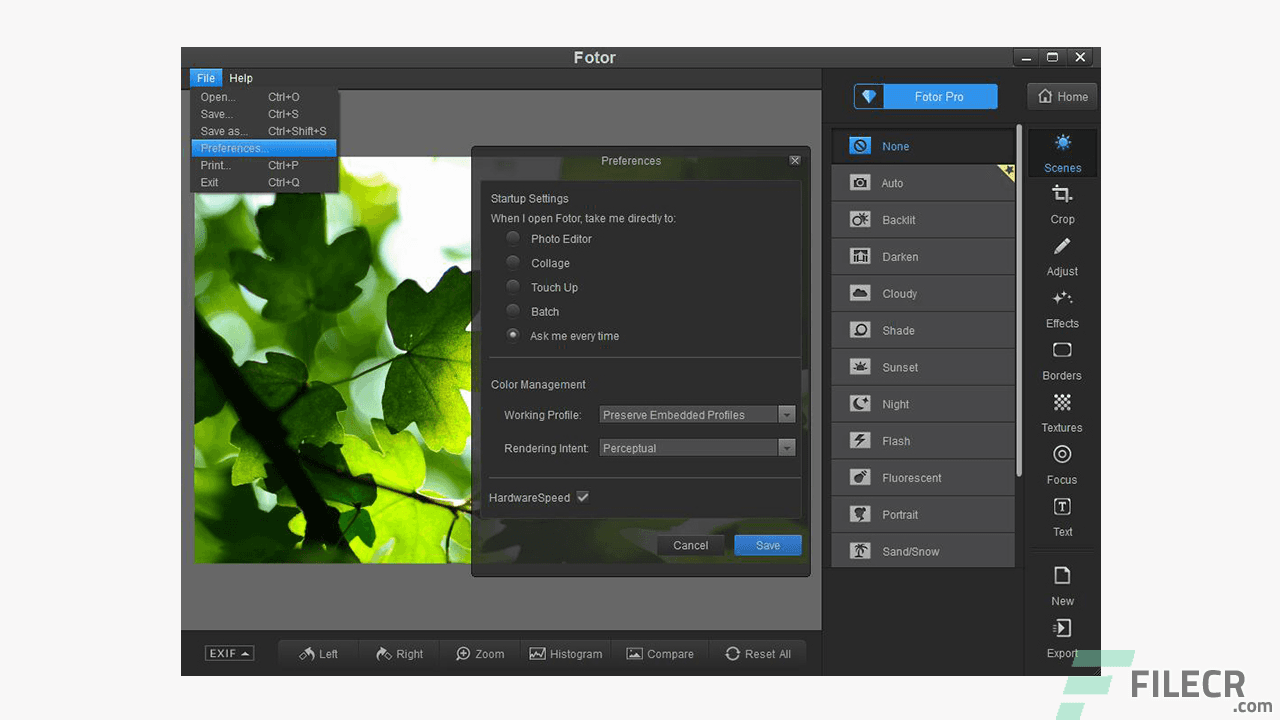 Fotor for Windows 5.1.1