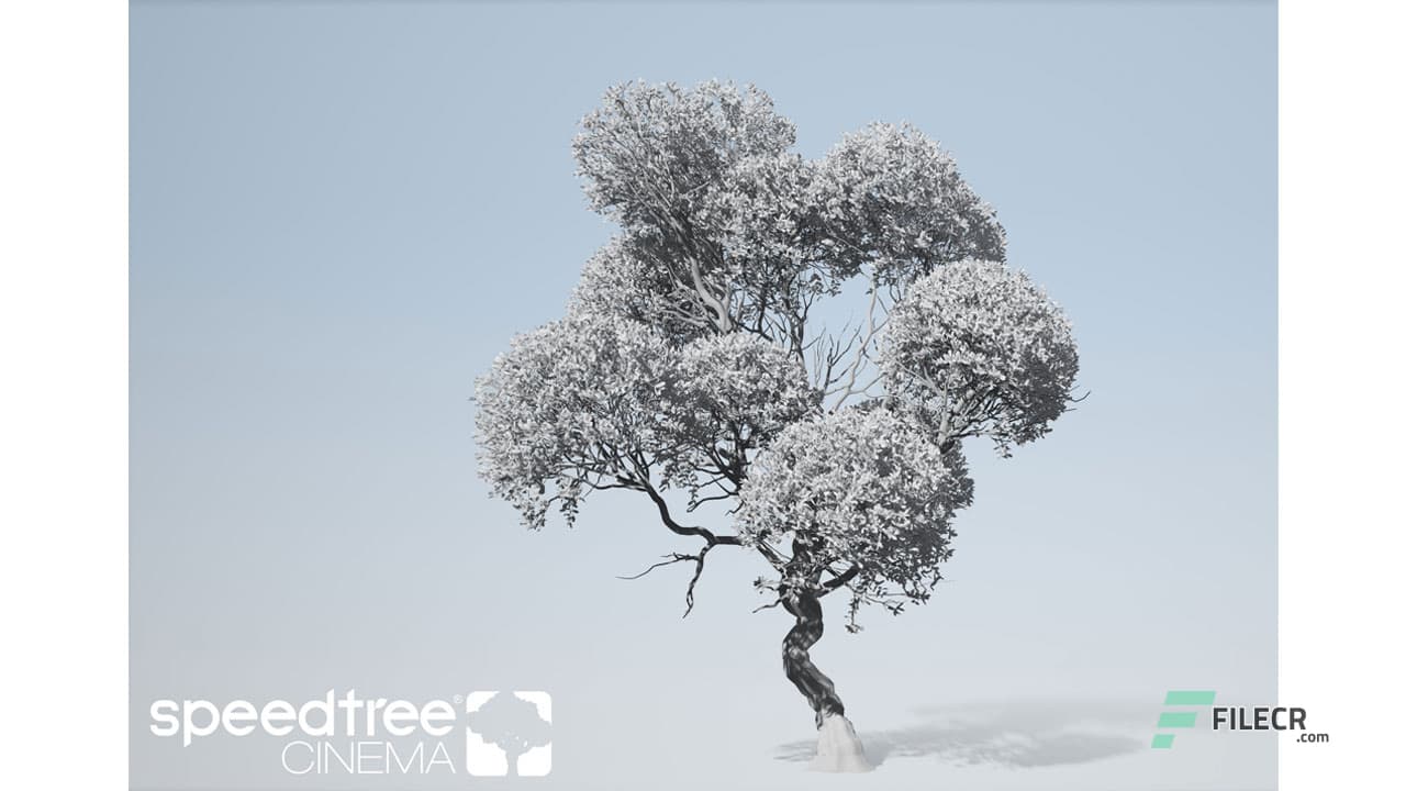 SpeedTree Modeler 10.0.1