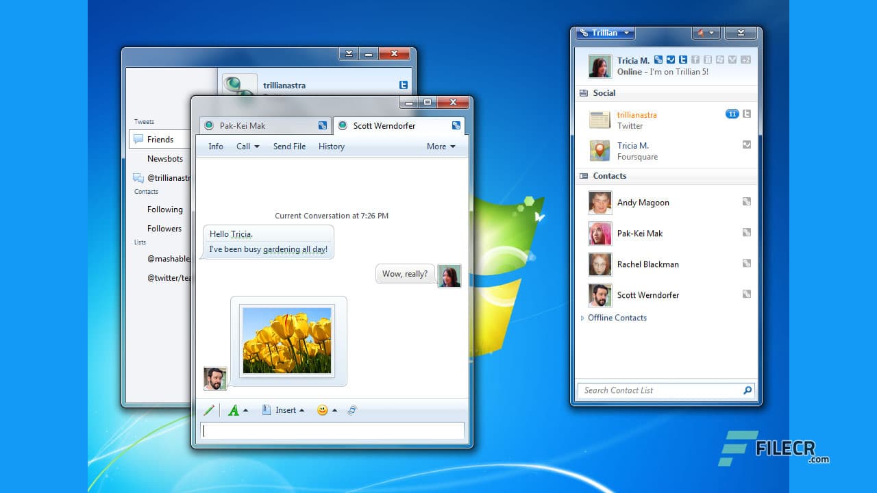 Trillian Pro 6.0
