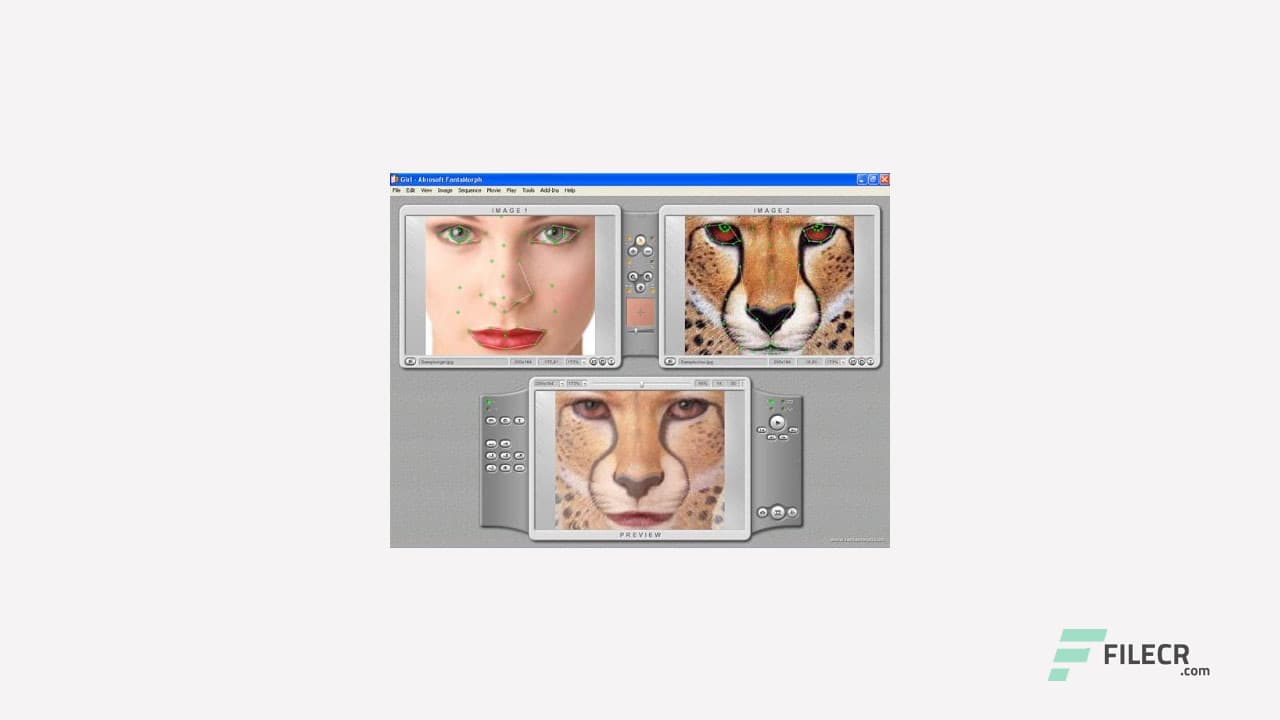 Abrosoft FantaMorph Deluxe 5.4.8