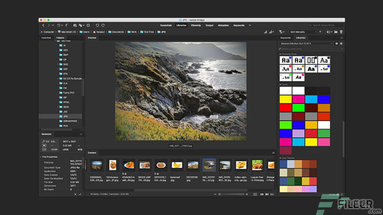 Adobe Bridge 2026 (v16.0.2.23)