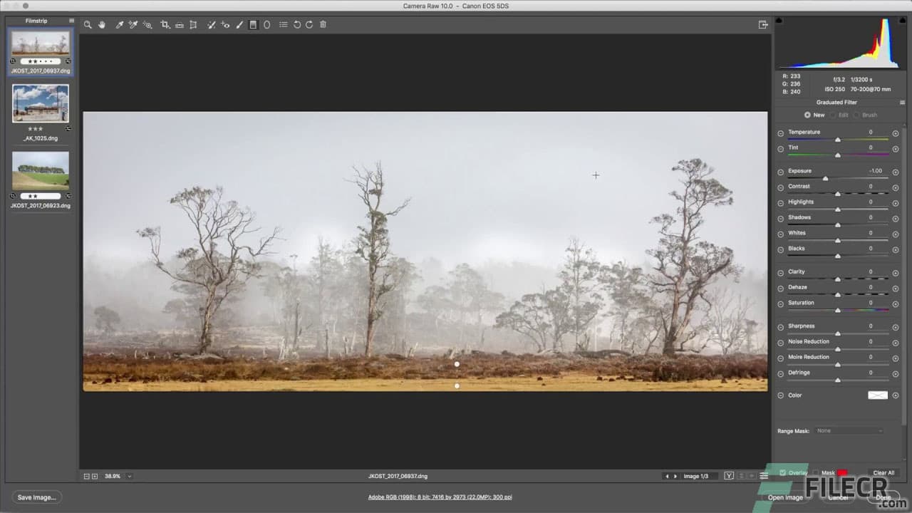 Adobe Camera Raw CC 18.1.1