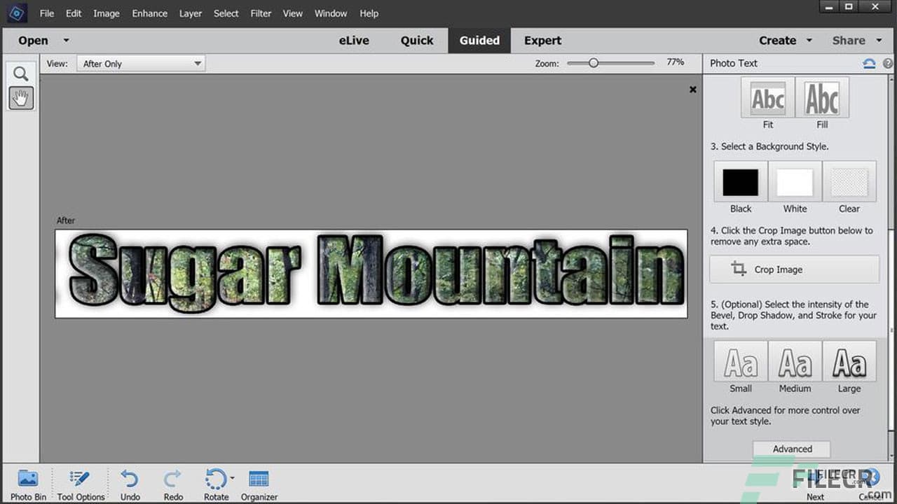 Adobe Photoshop Elements 2026 (v26.2.0.2)