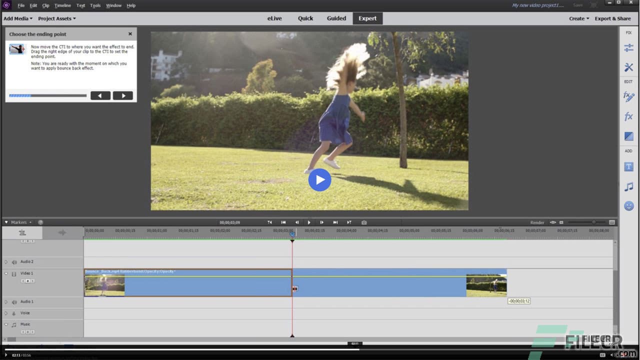 Adobe Premiere Elements 2026 (v26.1.0.20)
