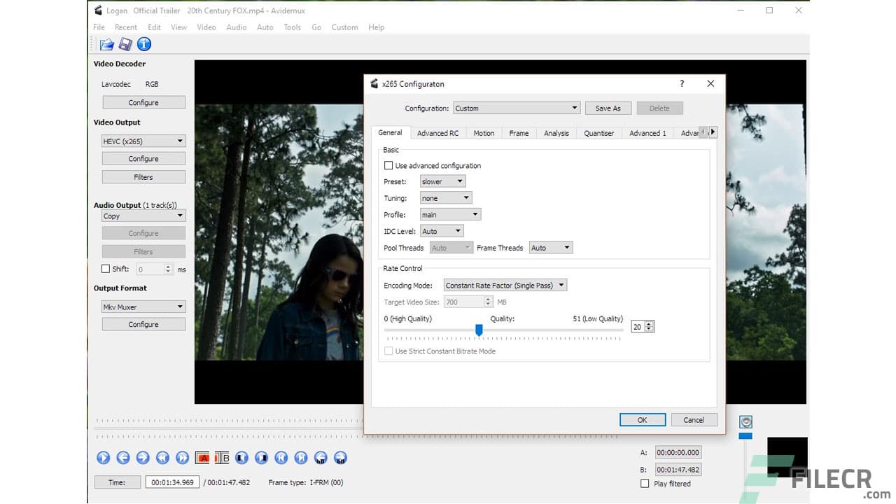 Avidemux 2.8.2 (r240908)
