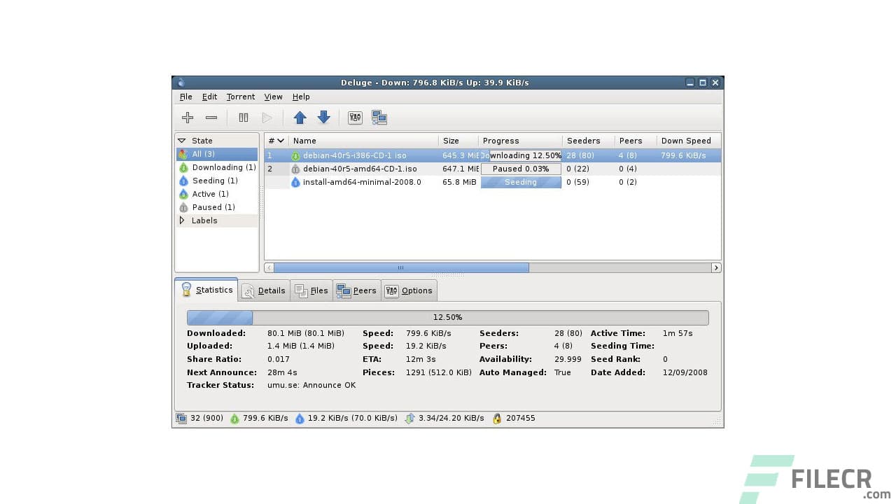 Deluge BitTorrent Client 2.1.1