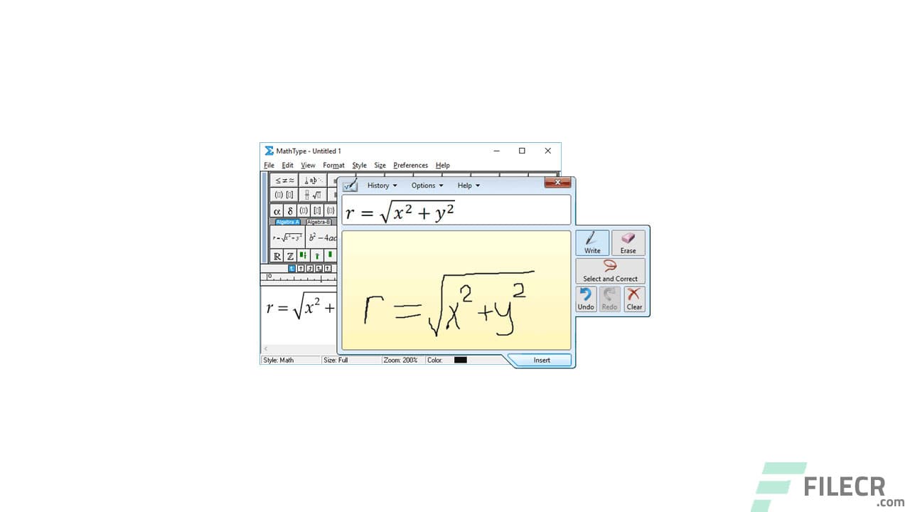 Design Science MathType 7.11.1.462