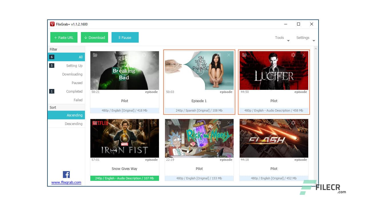 FlixGrab Plus 1.8.0.2288 Premium
