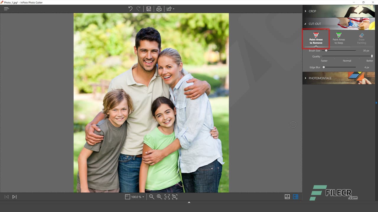 InPixio Photo Cutter 10.5.8105.27930