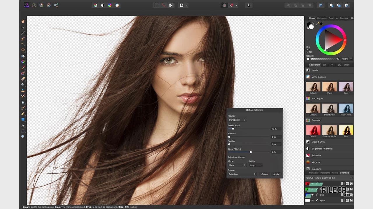 Serif Affinity Designer 2.6.5.3782