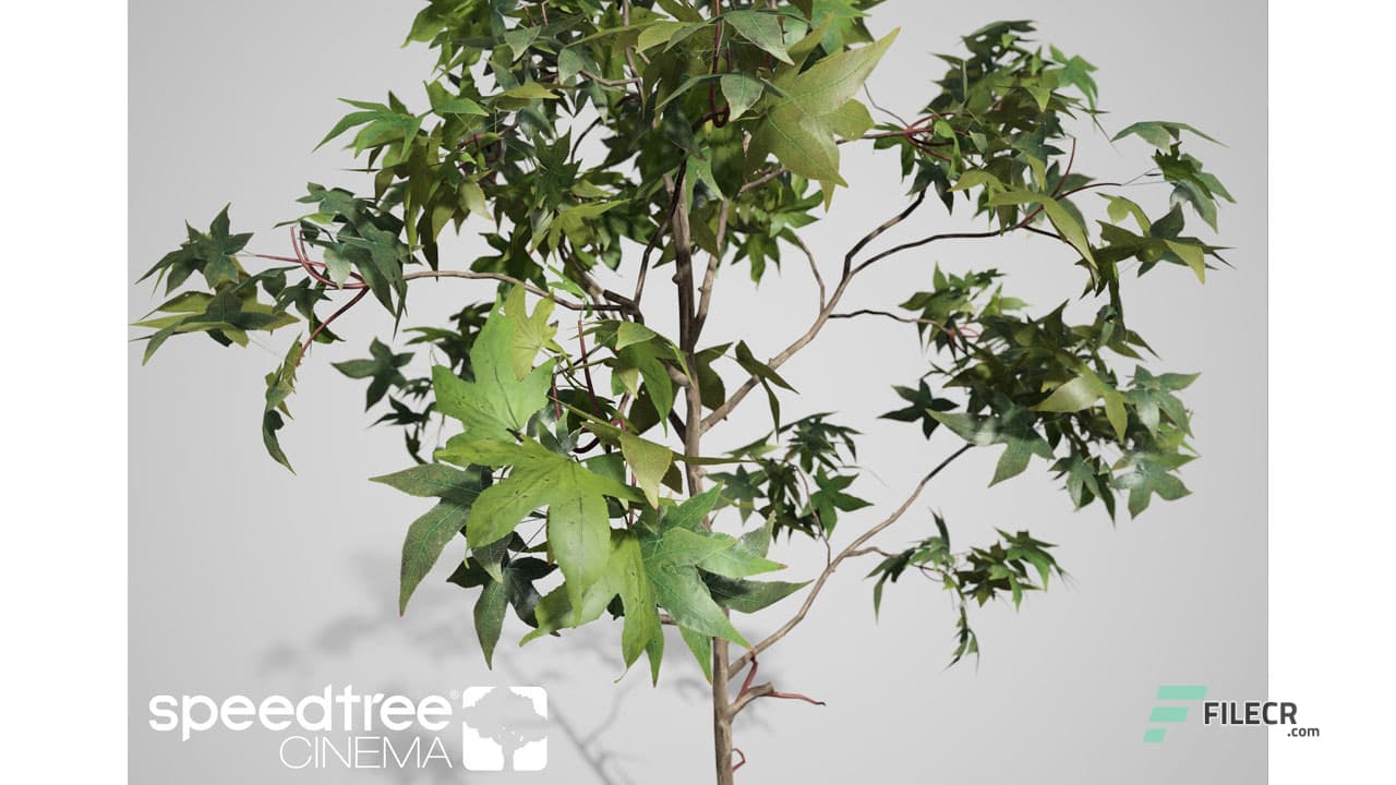 SpeedTree Modeler 10.0.1