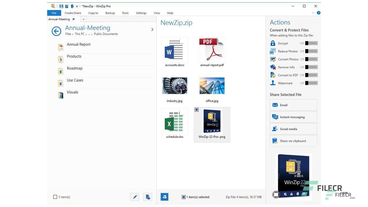 WinZip Pro 29.0.16416