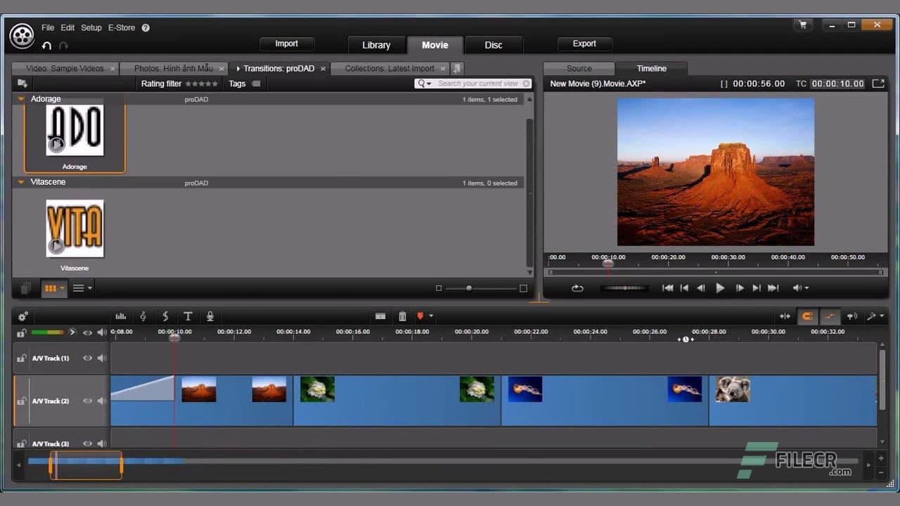 proDAD Adorage 3.0.135.6