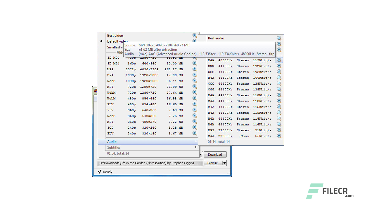 3D Youtube Downloader – Batch 2.12.4
