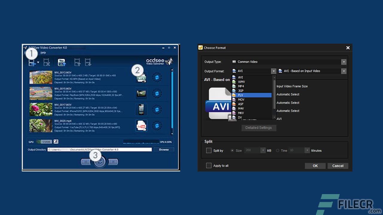 ACDSee Video Converter Pro 5.0.0.799