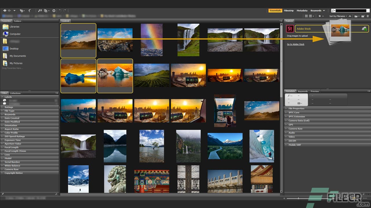 Adobe Bridge 2026 (v16.0.2.23)