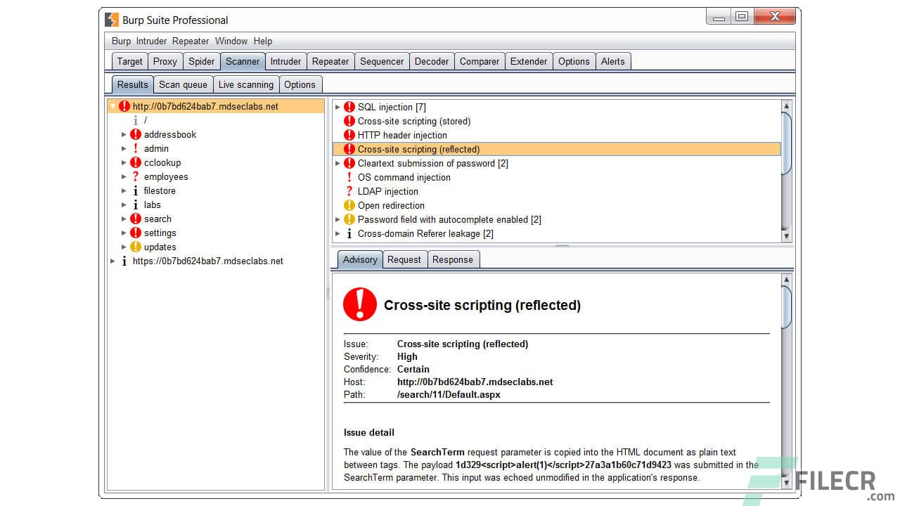 Burp Suite Professional 2025.12.5