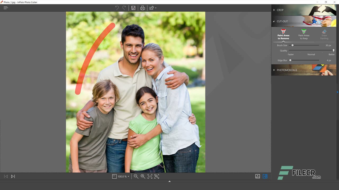 InPixio Photo Cutter 10.5.8105.27930