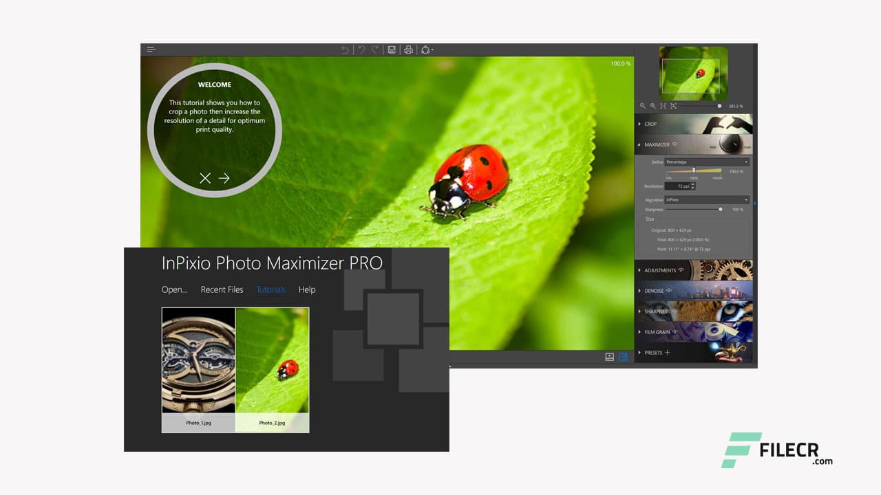 InPixio Photo Maximizer Pro 5.3.8626.22532
