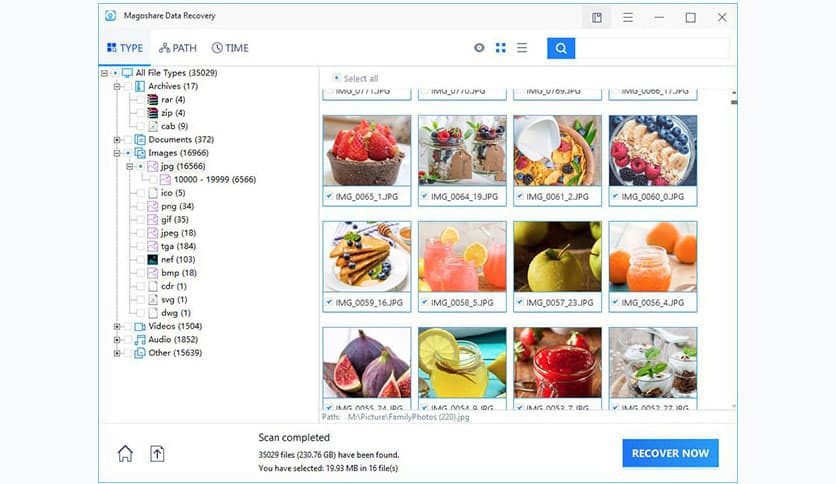 Magoshare Data Recovery 4.6
