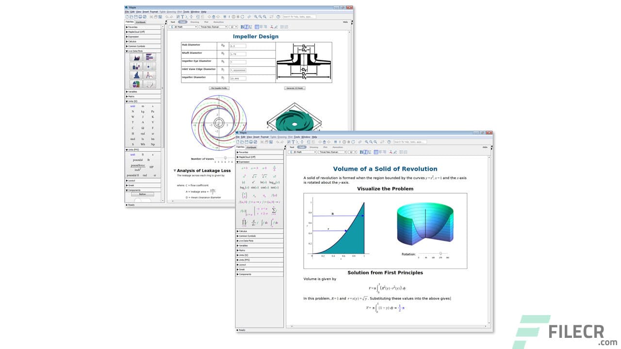 Maplesoft Maple 2025.2