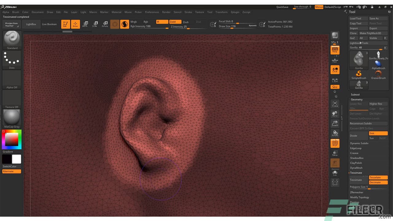 Pixologic ZBrush 2026.1.1