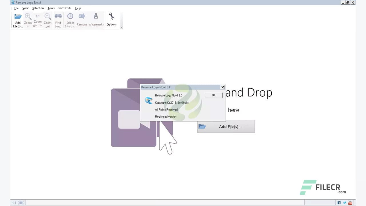 SoftOrbits Remove Logo Now 4.0