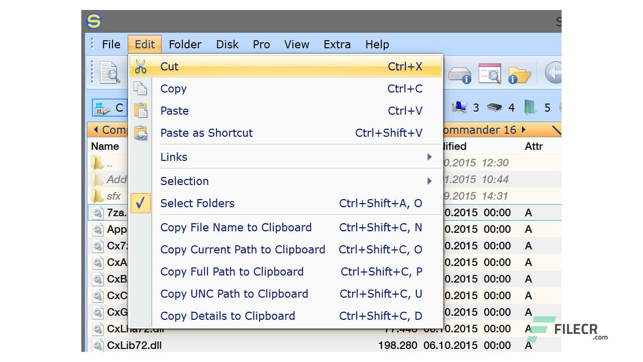 SpeedCommander Pro 18.50.9700 / 17.54.9700