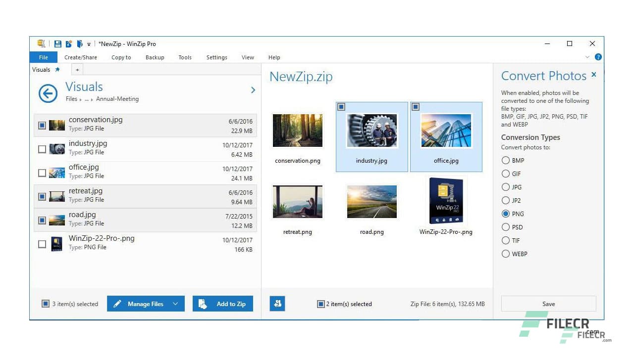 WinZip Pro 29.0.16416